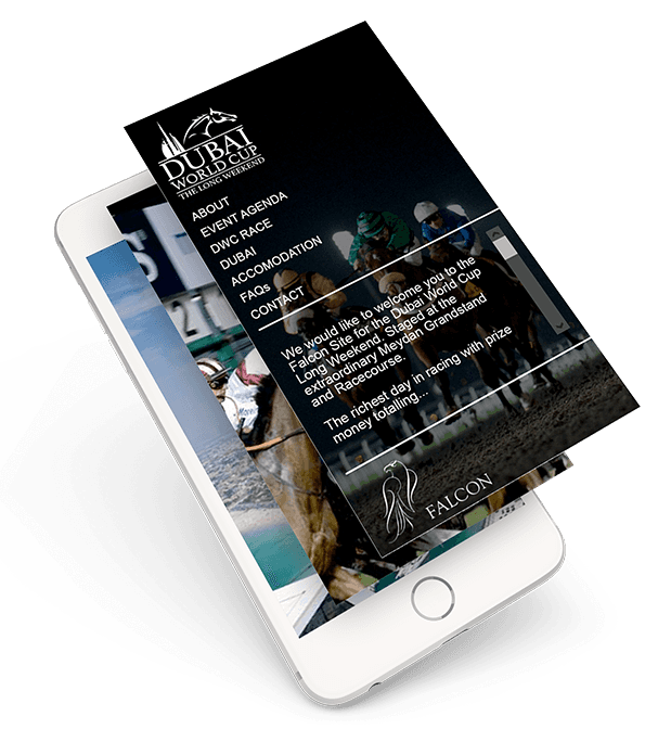 dubai-world-cup-iphone-tools-wordpress-developer