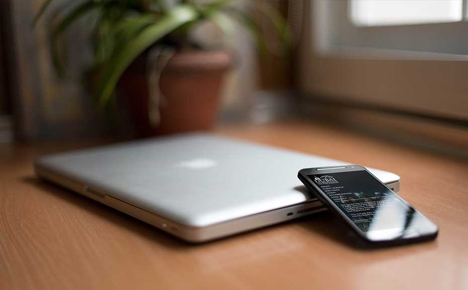 dubai-world-cup-skills-wordpress-developer