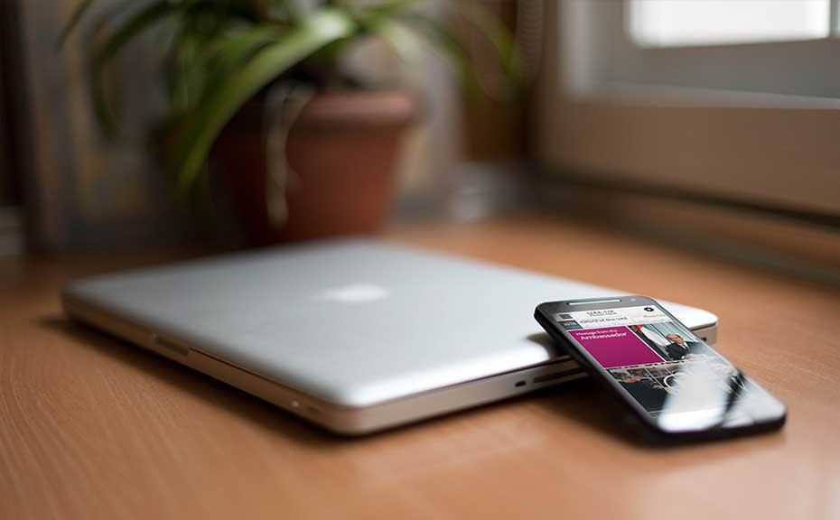 uae-role-fullstack-wordpress-developer